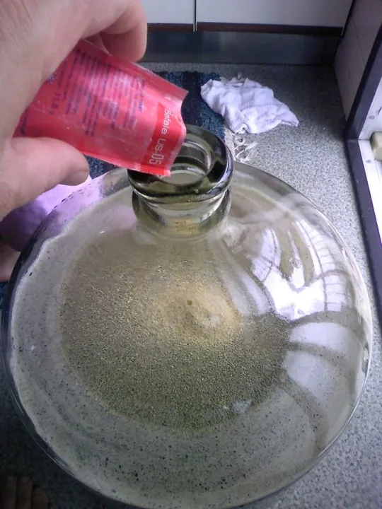 Studio macro photograph of active dry yeast