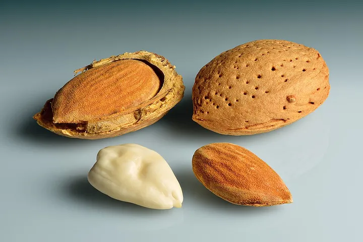 Studio macro photograph of almond extract