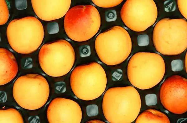 Studio macro photograph of apricot