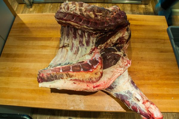 Studio macro photograph of beef chuck