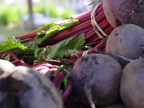 Studio macro photograph of beet