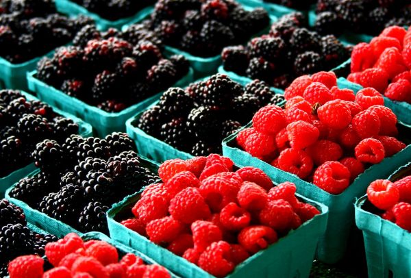 Studio macro photograph of berry