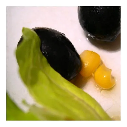 Studio macro photograph of black olives