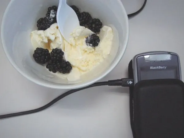 Studio macro photograph of blackberry