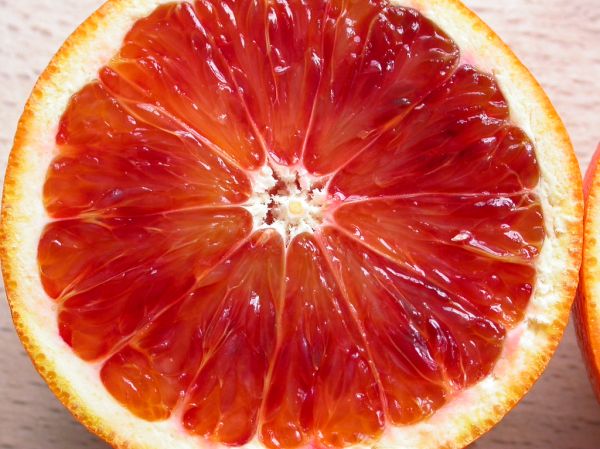 Studio macro photograph of blood orange