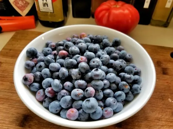 Studio macro photograph of blueberry
