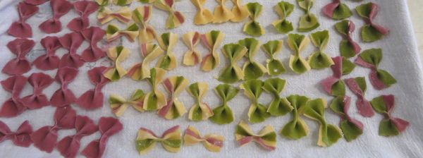 Studio macro photograph of bowtie pasta