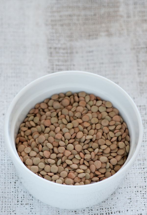 Studio macro photograph of brown lentils