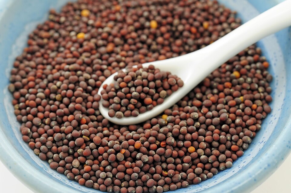 Studio macro photograph of brown mustard seeds