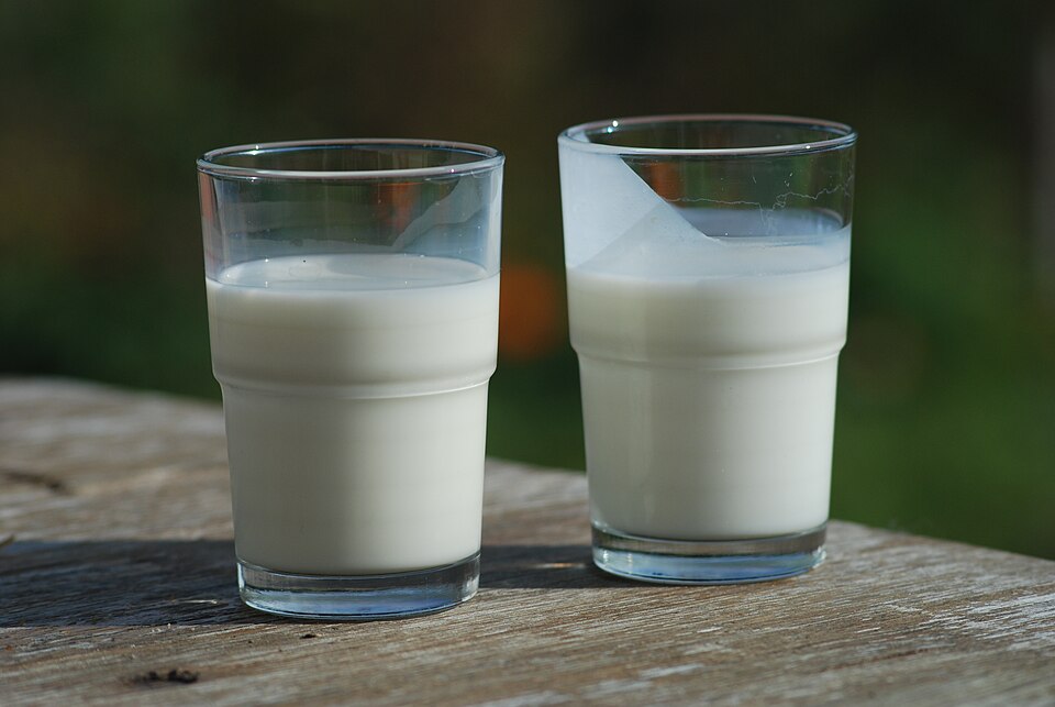 Studio macro photograph of buttermilk