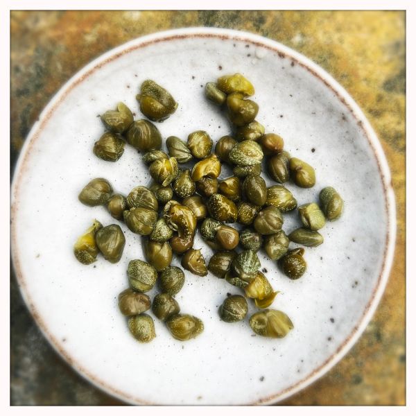 Studio macro photograph of capers