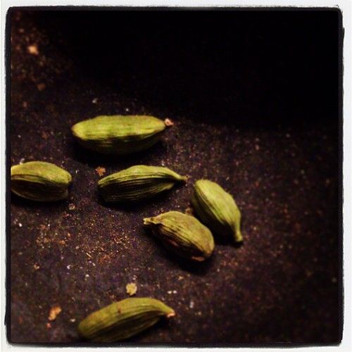 Studio macro photograph of cardamom pod