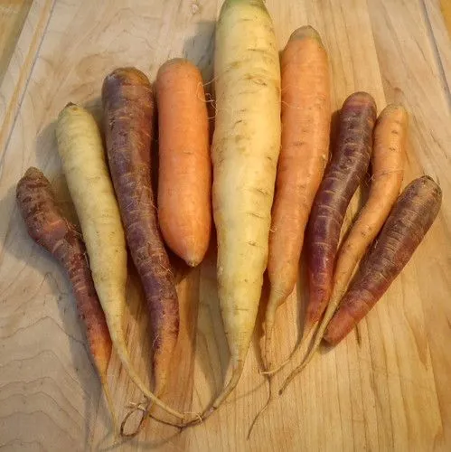 Studio macro photograph of carrot