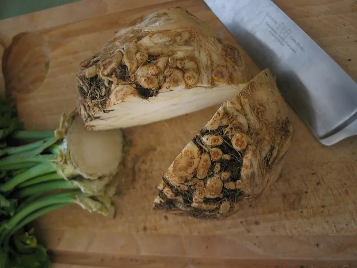Studio macro photograph of celeriac