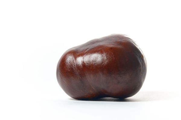 Studio macro photograph of chestnuts