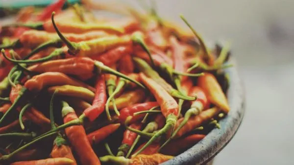 Studio macro photograph of chili pepper