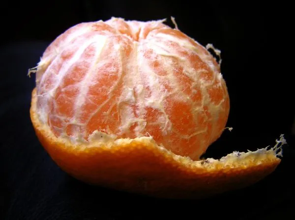 Studio macro photograph of clementine