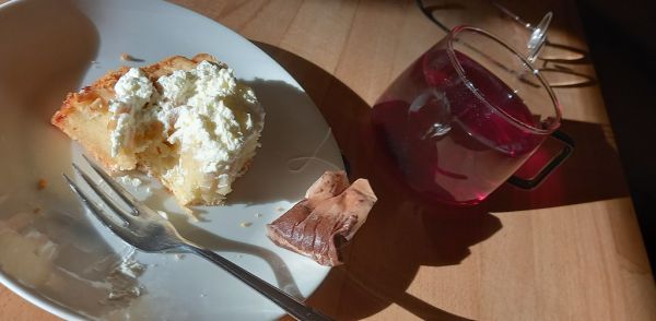 Studio macro photograph of clotted cream