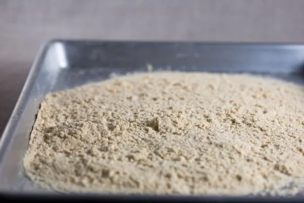 Studio macro photograph of coconut flour