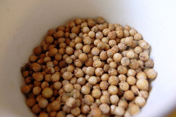 Studio macro photograph of coriander seed