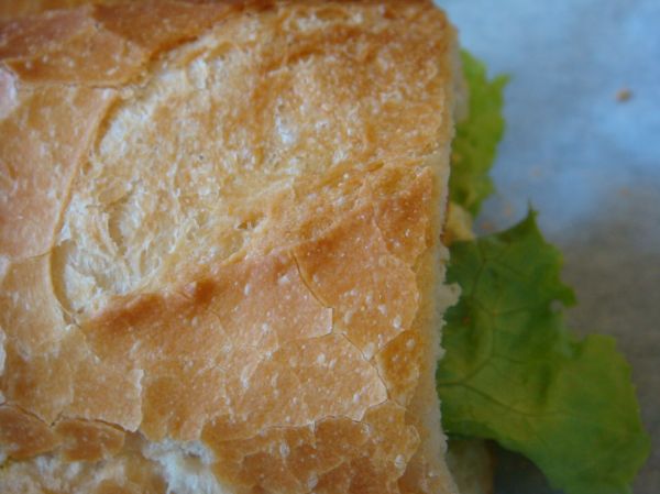 Studio macro photograph of crusty baguette