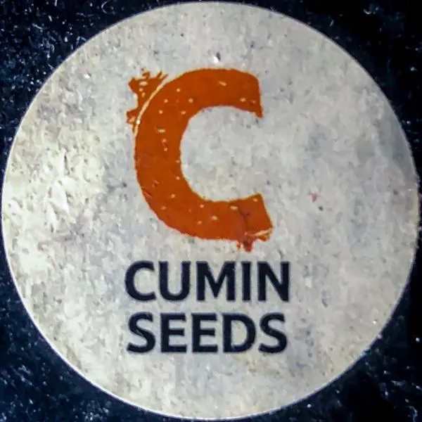 Studio macro photograph of cumin seed