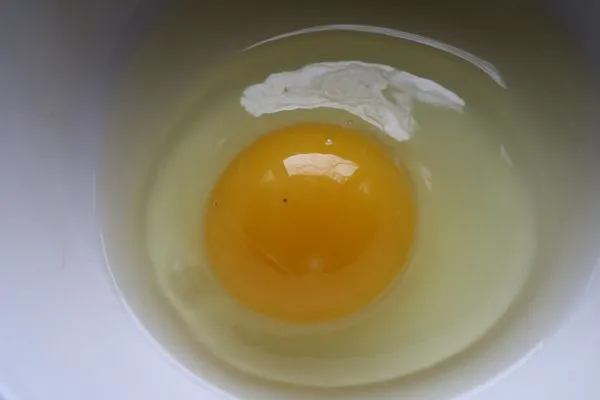 Studio macro photograph of egg yolk