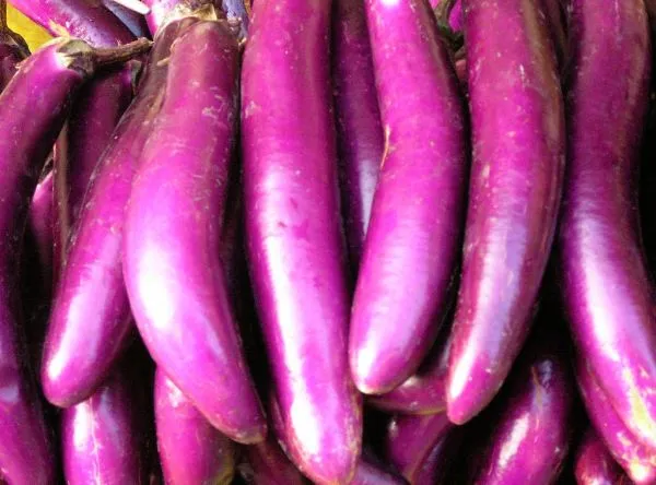 Studio macro photograph of eggplant