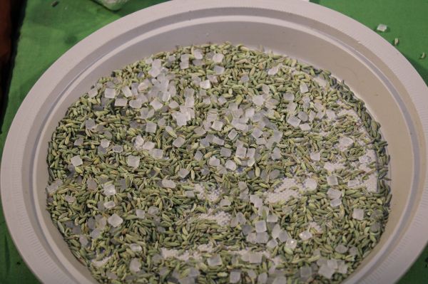 Studio macro photograph of fennel seed