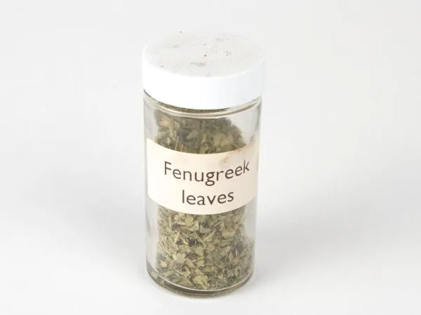 Studio macro photograph of fenugreek leaves