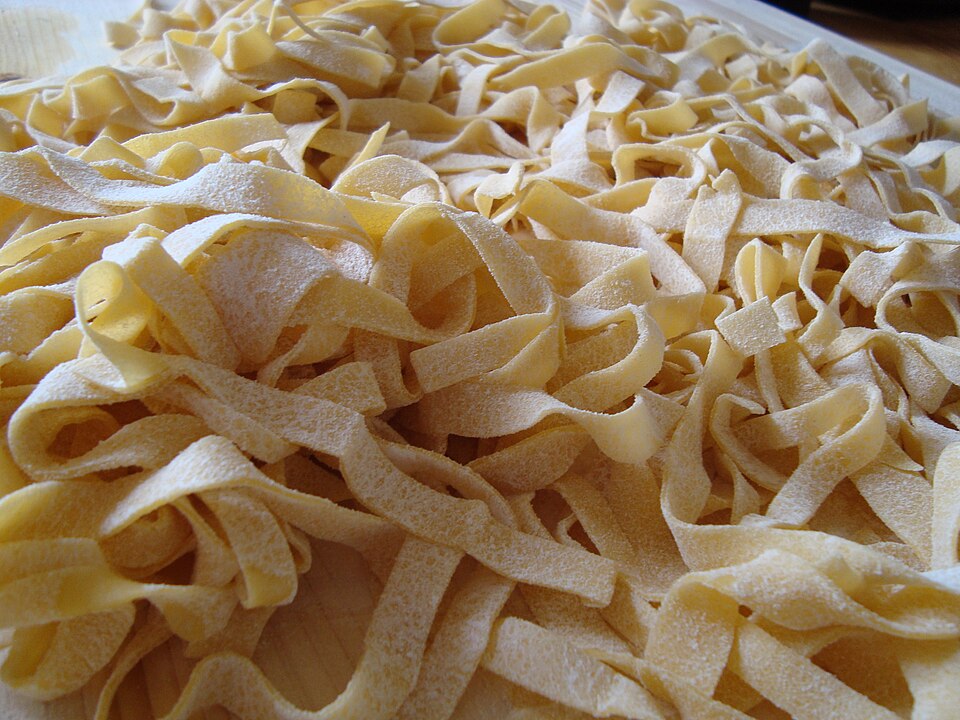 Studio macro photograph of fettuccine
