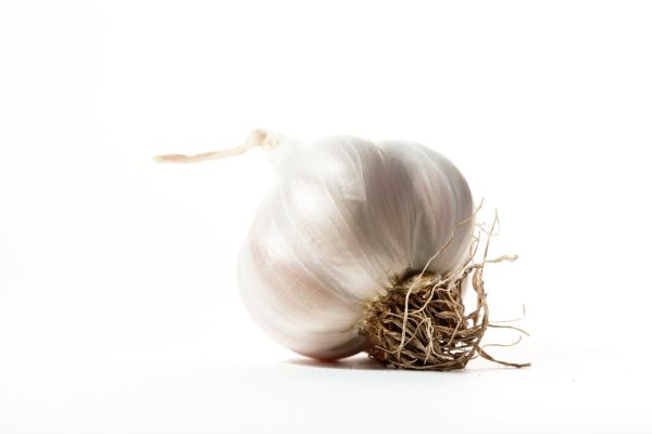 Studio macro photograph of fresh garlic