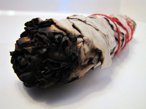 Studio macro photograph of fresh sage