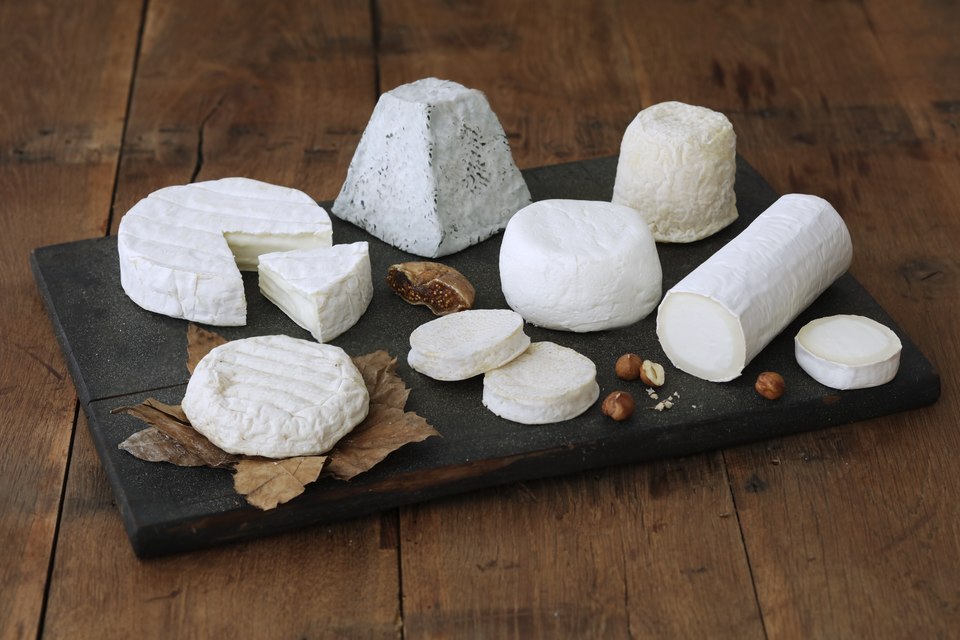 Studio macro photograph of goat cheese