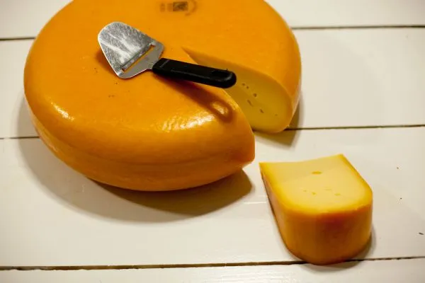 Studio macro photograph of gouda cheese