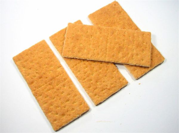 Studio macro photograph of graham crackers