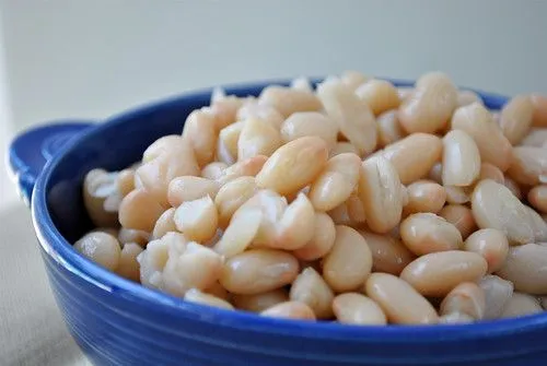 Studio macro photograph of great northern beans