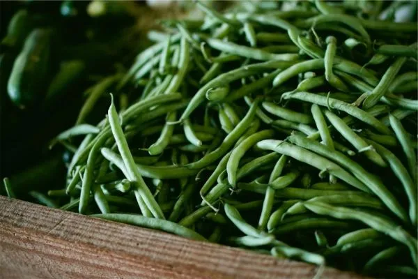 Studio macro photograph of green beans