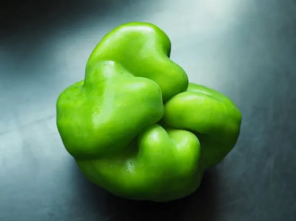Studio macro photograph of green pepper
