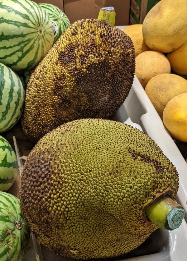 Studio macro photograph of jackfruit