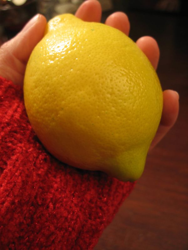 Studio macro photograph of lemon