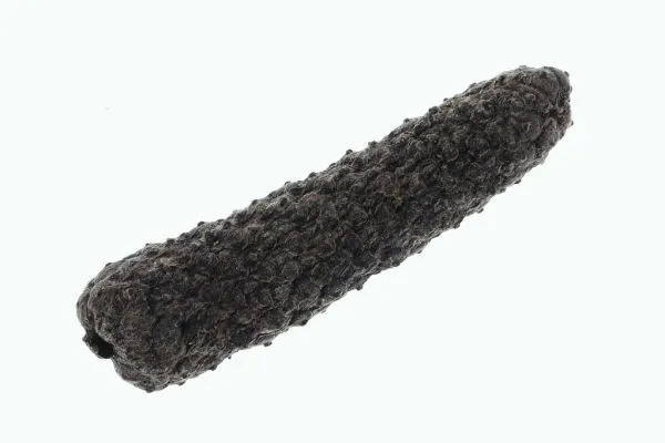 Studio macro photograph of long pepper