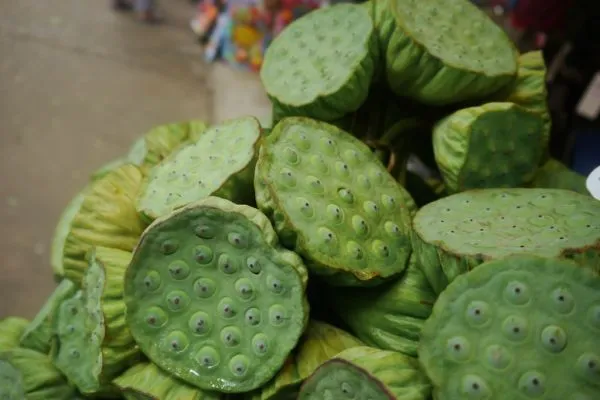 Studio macro photograph of lotus seeds