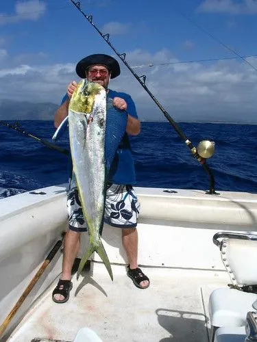 Studio macro photograph of mahi-mahi
