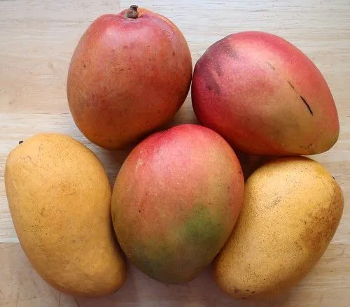 Studio macro photograph of mango