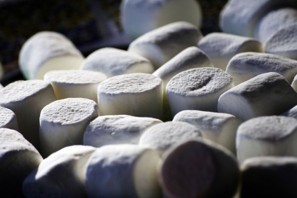 Studio macro photograph of marshmallows