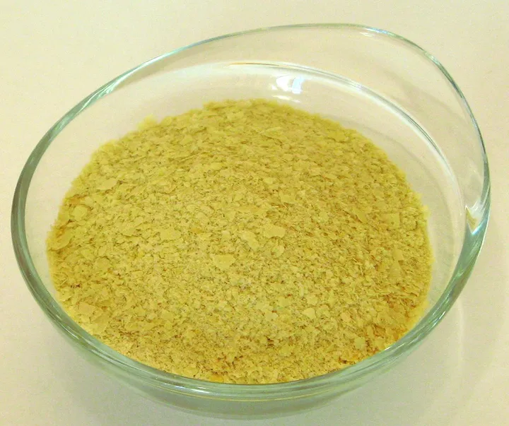 Studio macro photograph of nutritional yeast