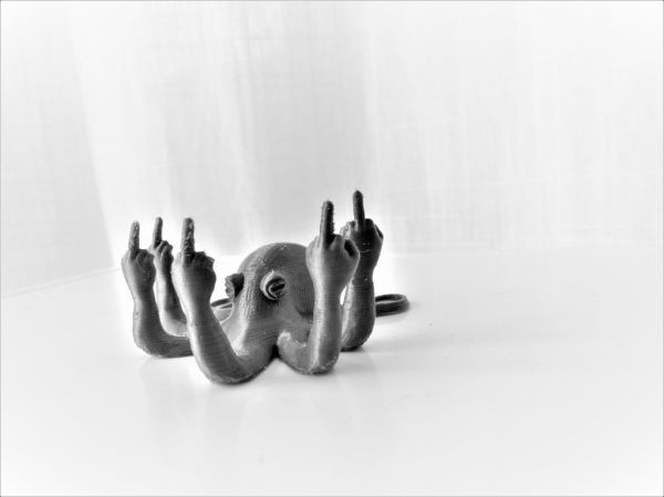 Studio macro photograph of octopus