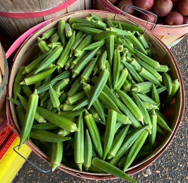 Studio macro photograph of okra