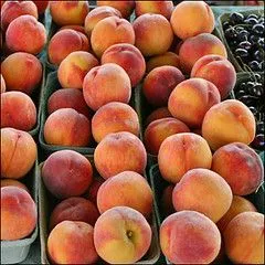Studio macro photograph of peach